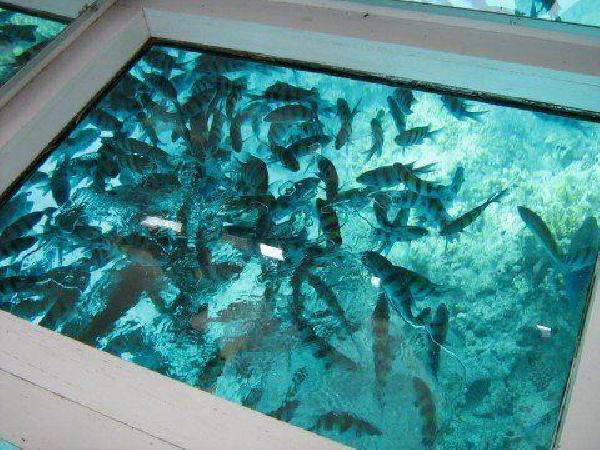 glass-boat-sharm-el-sheikh-1