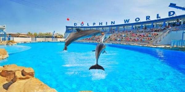 dolphin_show_hurghada_trip_288744